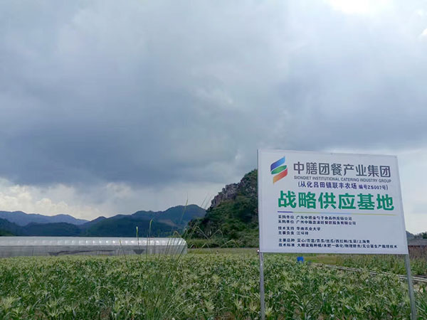 中膳集团蔬菜基地